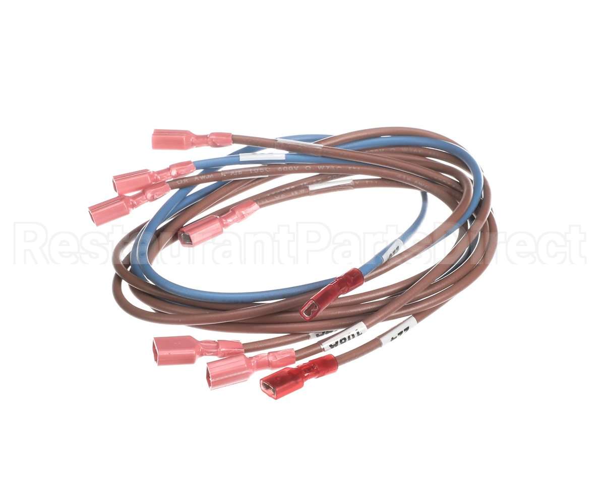 74281 Middleby Wireset,24Vdc Motor Ps670