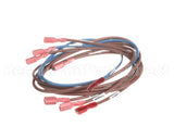 74281 Middleby Wireset,24Vdc Motor Ps670