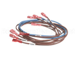 74281 Middleby Wireset,24Vdc Motor Ps670