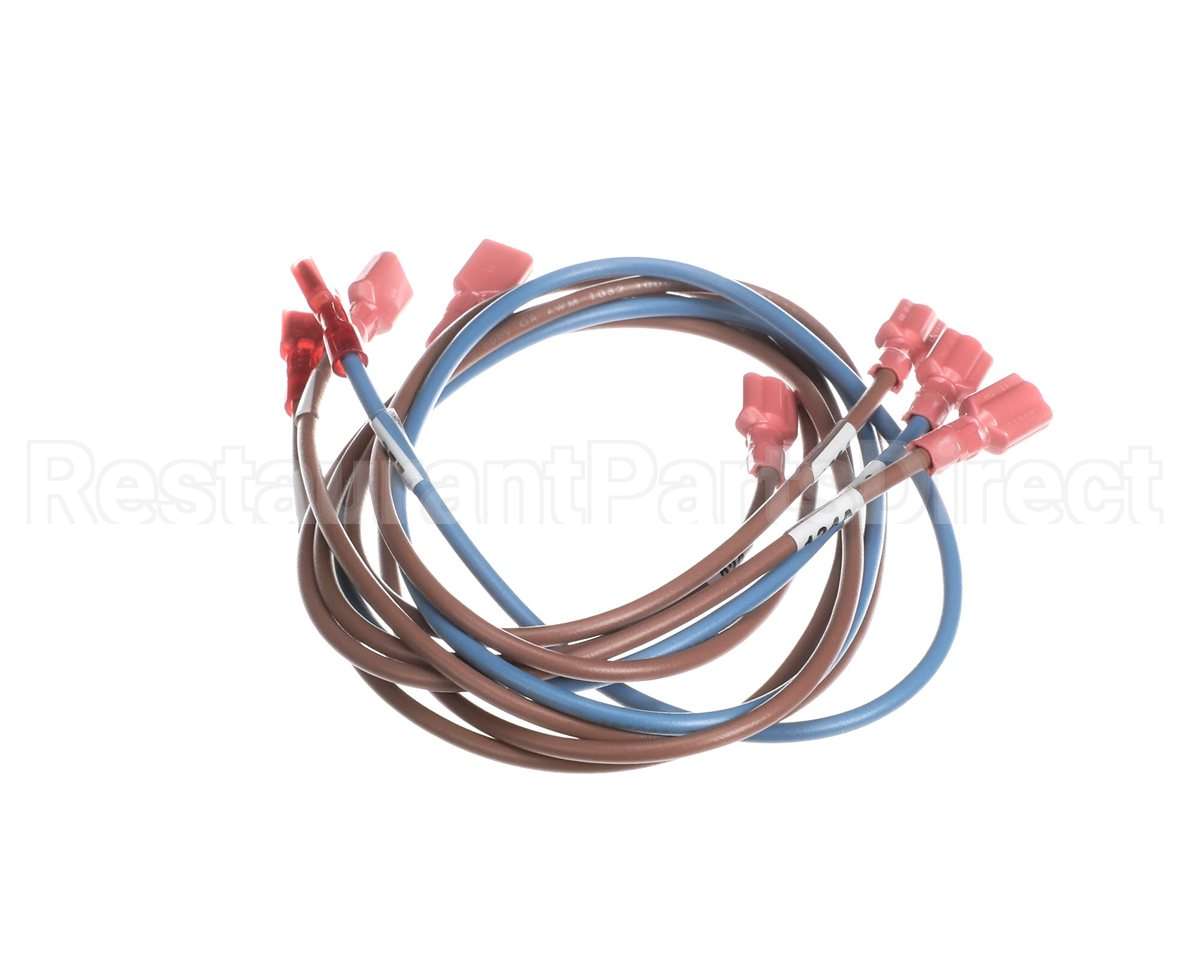 74281 Middleby Wireset,24Vdc Motor Ps670