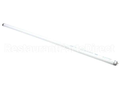 76119 Structural Concepts Light Bulb