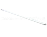 76119 Structural Concepts Light Bulb