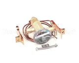 762443 Stoelting Valve Expansion Thermostatic