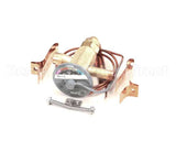 762443 Stoelting Valve Expansion Thermostatic