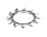 766982 Stoelting Washer Shakeproof 38 Zinc