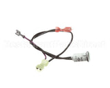 781212 Newco Ready Lamp Green