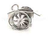 781279 Bevles 115V Motor 3000 Rpm