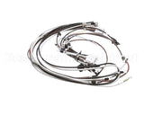 784702 Bevles Wire Set Taco Bell Full Harnes