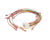 79209 Henny Penny Harness-Ofg 15 Pin Fryer Conn