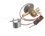 79J75 Lennox Expansion Valve
