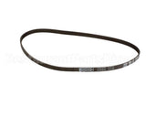 800008 Globe Drive Belt