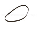 800008 Globe Drive Belt
