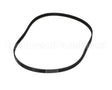 800009 Globe Drive Belt
