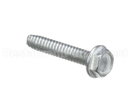 800068 Globe #10-24 X 1" Thread Form Slotte