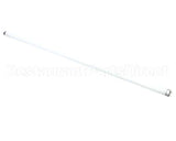 801156 TRUE Lamp, F025/865/Xp/Eco 36