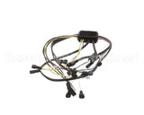 801734 TRUE Wire Harness, Junction Box #5325