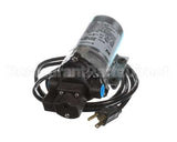 8025-933-236 Cornelius Pump Ro W/60Psi Switch Shur
