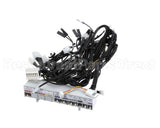 805000041 Rinnai Harness E