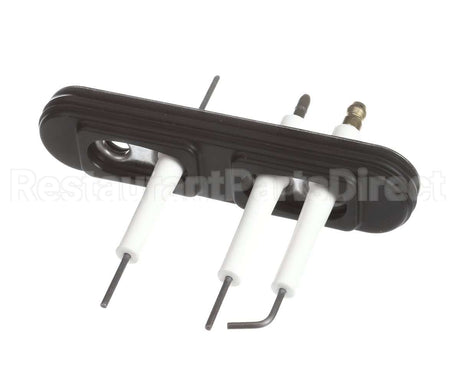 805000059 Rinnai Ignition/Electrode Assembly