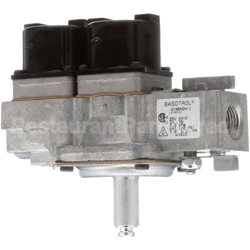 80505-02 Compatible Lang Valve, Dual Gas Solenoid - 24V