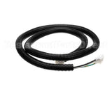 805802 American Dryer Laundry 50V Motor Plug Hrn 115V