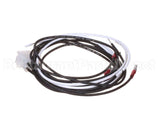 8062079SP Frymaster Harness Wr B/L Motor Untry H50