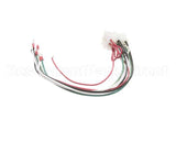 8068269SP Frymaster C2 Wiring Assembly,Mcd Common Elec