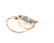 8068688SP Frymaster Pilot Assembly, Natural Gas