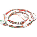 807-4597 Compatible Frymaster D Series Wiring Harness