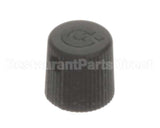 807000023 Rinnai Cap De-Aerator Shr 3X