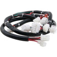 8072285 Compatible Frymaster Harness, Wire (Ce)