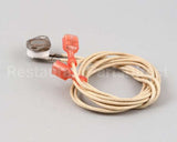 8073631 Frymaster Thermostat,High Limit Hlz