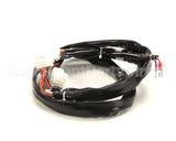 8074194 Frymaster Harness, Re Fv Controls