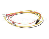 8074665 Frymaster Harness,45 Smt Intrfc To 12/24Vac