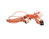 8075165 Frymaster Cable Asy,Smt Cmpr To Infc W/R