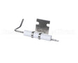 8075222 Frymaster Electrode Assy,Ce Hd Sensor