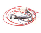 8075803 Frymaster Harness, Bulk Oil/Topoff Fib