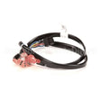8075813 Compatible Frymaster Harness, Interface To I. M. Cap