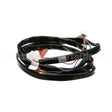 8075863 Compatible Frymaster Harness, Fv Gas Jlov Unit Wirng