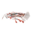 8076364 Compatible Frymaster Harness, Lov-T Fv Control Box