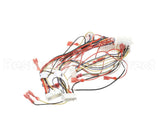 8076365 Frymaster Harness, Lov-T Dv Control Box
