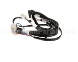 8076367 Frymaster Harness,Lov-T Dv Ign Mod/Control