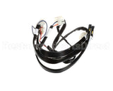 8076367 Frymaster Harness,Lov-T Dv Ign Mod/Control
