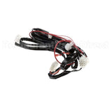 8076448 Frymaster Wire Harness