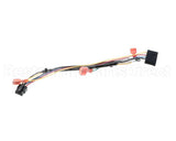 8076553 Frymaster Harness, Dv Fenwal Retrofit