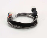 8101062 Frymaster Cable, H50/52 Series Filter