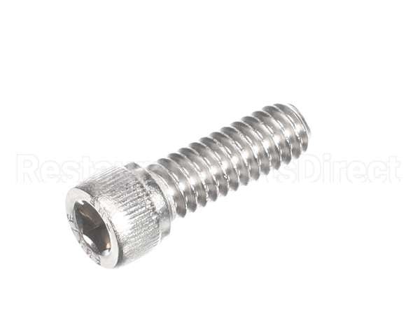 810229 Globe Shc Screw 1/4-20 X 3/4 Ss