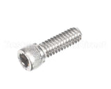 810229 Globe Shc Screw 1/4-20 X 3/4 Ss