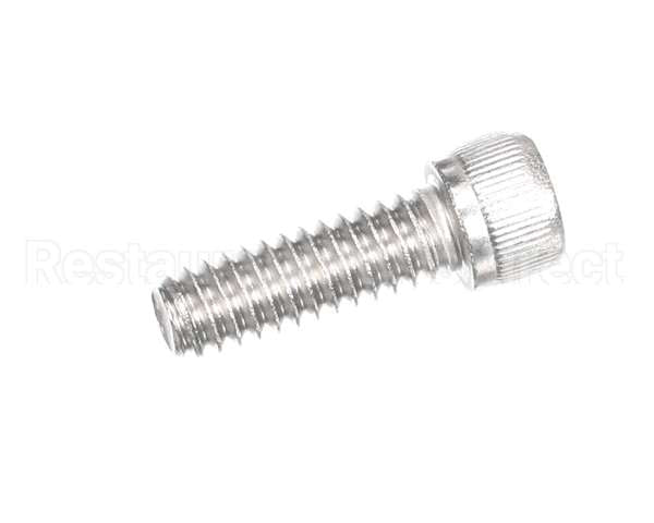 810229 Globe Shc Screw 1/4-20 X 3/4 Ss