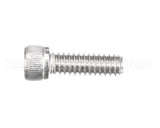 810229 Globe Shc Screw 1/4-20 X 3/4 Ss